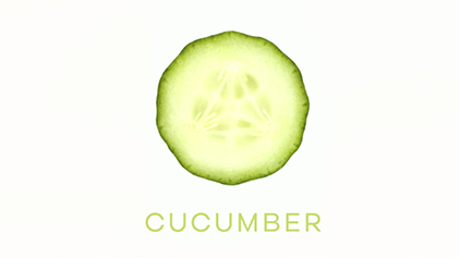 Cucumber Boek omslag